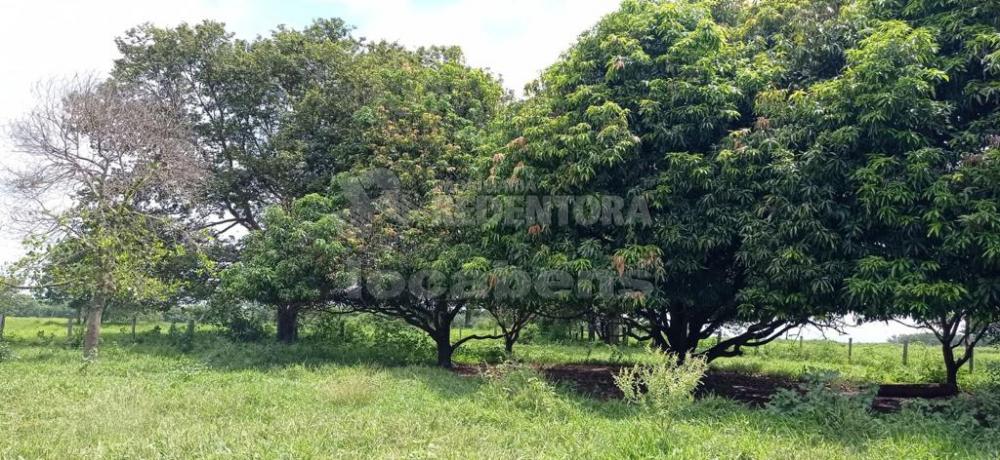 Alugar Rural / Chácara em Ruilândia apenas R$ 3.500,00 - Foto 19