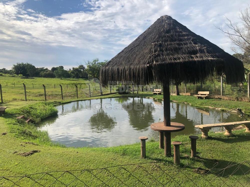 Alugar Rural / Chácara em Ruilândia R$ 3.500,00 - Foto 26