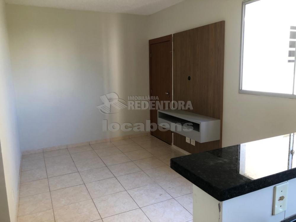 Alugar Apartamento / Padrão em São José do Rio Preto R$ 850,00 - Foto 8