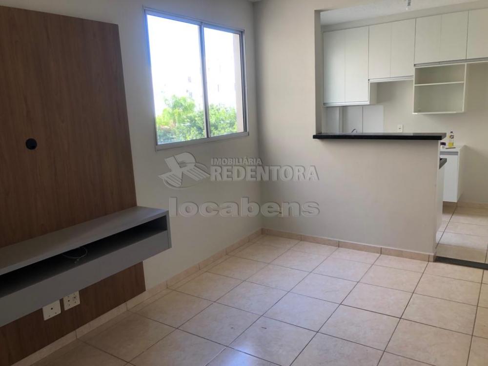 Alugar Apartamento / Padrão em São José do Rio Preto R$ 850,00 - Foto 1