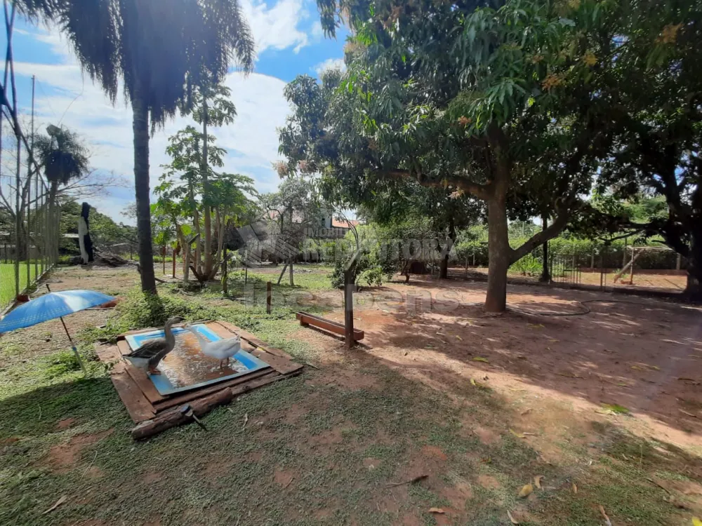 Comprar Rural / Chácara em São José do Rio Preto apenas R$ 1.200.000,00 - Foto 36