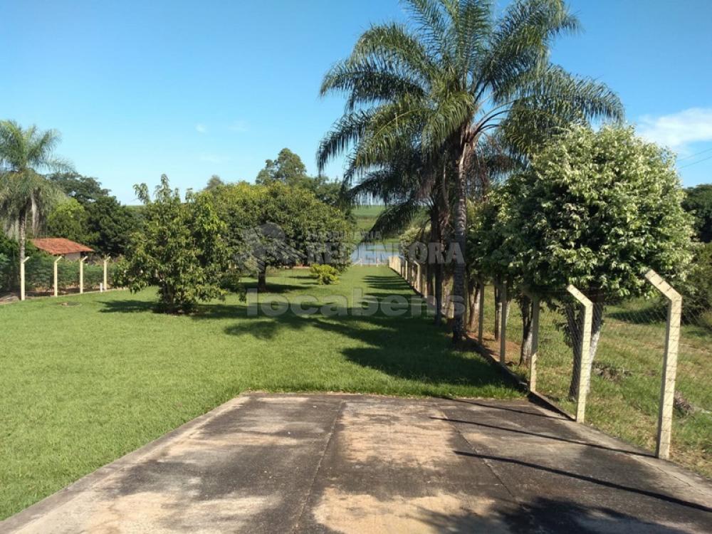 Comprar Rural / Chácara em Adolfo apenas R$ 450.000,00 - Foto 4