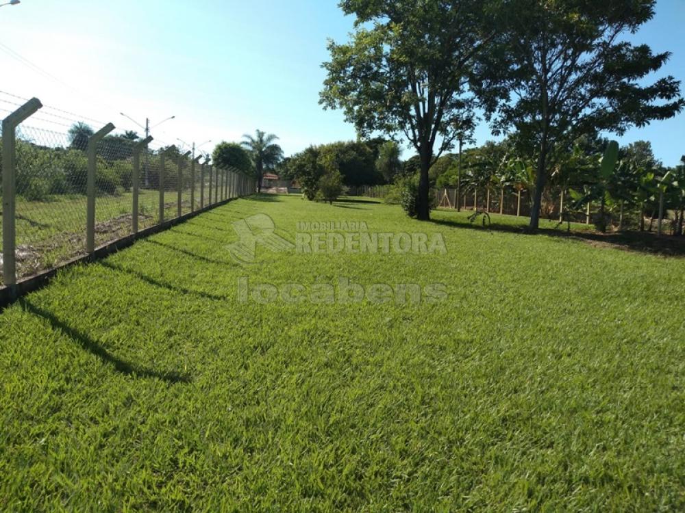 Comprar Rural / Chácara em Adolfo apenas R$ 450.000,00 - Foto 6