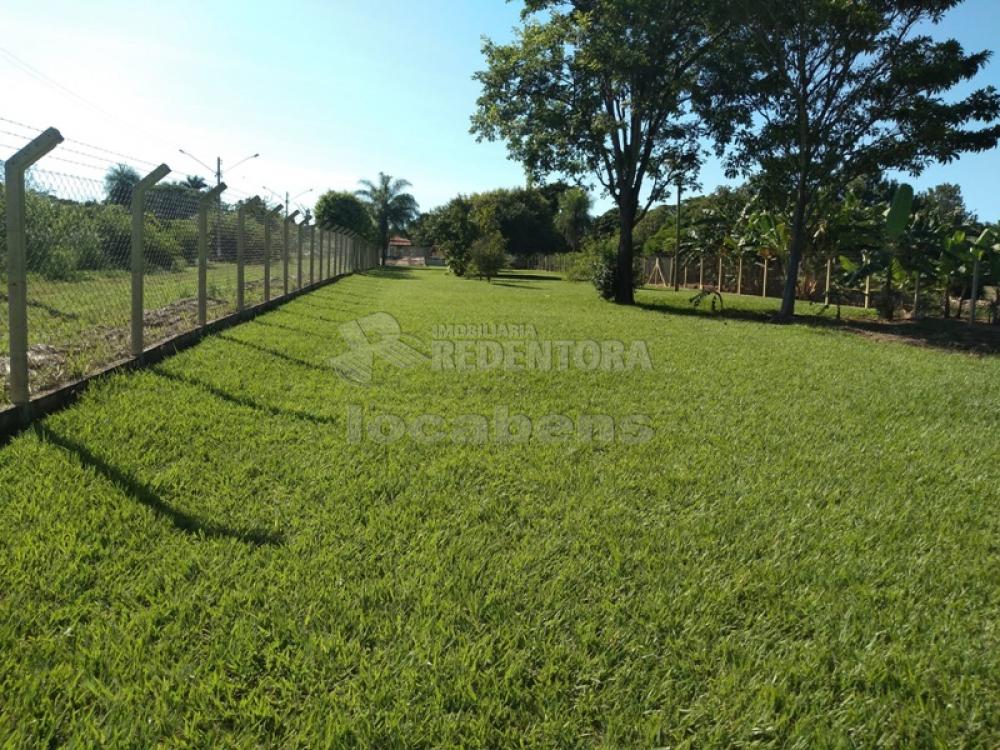 Comprar Rural / Chácara em Adolfo apenas R$ 450.000,00 - Foto 8