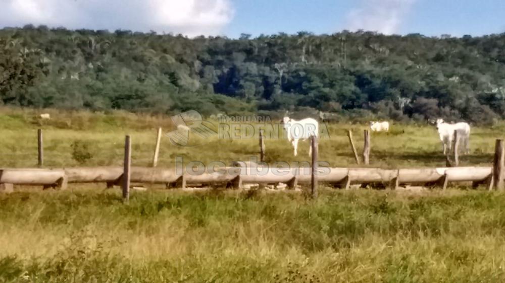 Fazenda-Sítio-Chácara, 515 hectares - Foto 1
