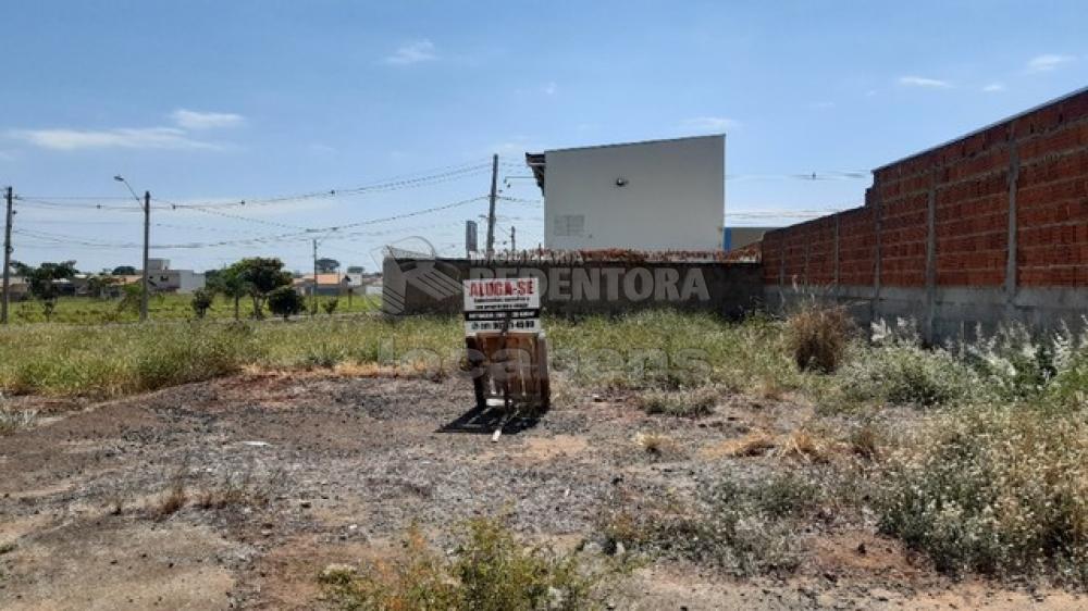 Alugar Terreno / Padrão em São José do Rio Preto apenas R$ 3.000,00 - Foto 3