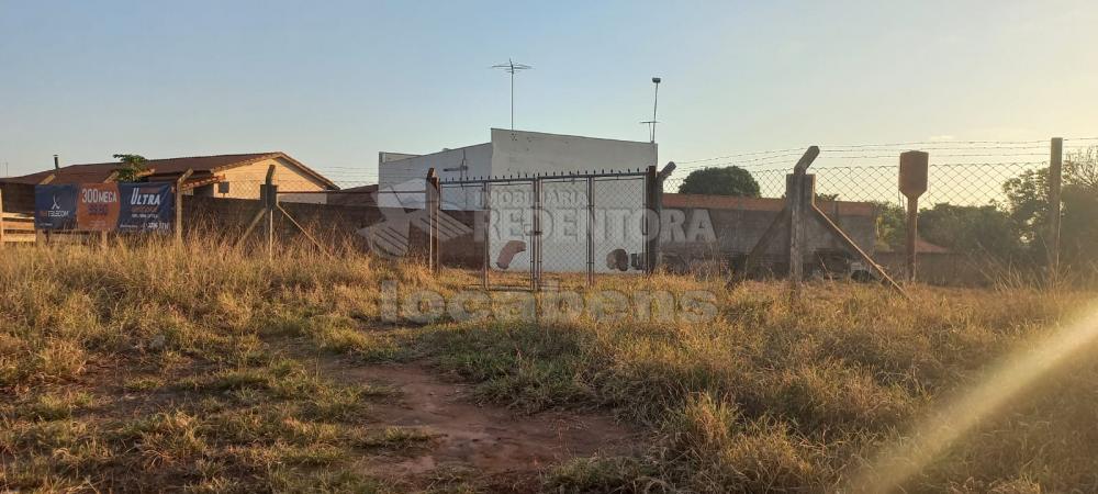 Alugar Terreno / Área em Ipiguá R$ 3.000,00 - Foto 6