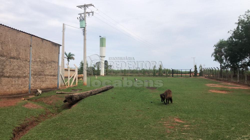 Comprar Rural / Sítio em Potirendaba R$ 5.500.000,00 - Foto 6