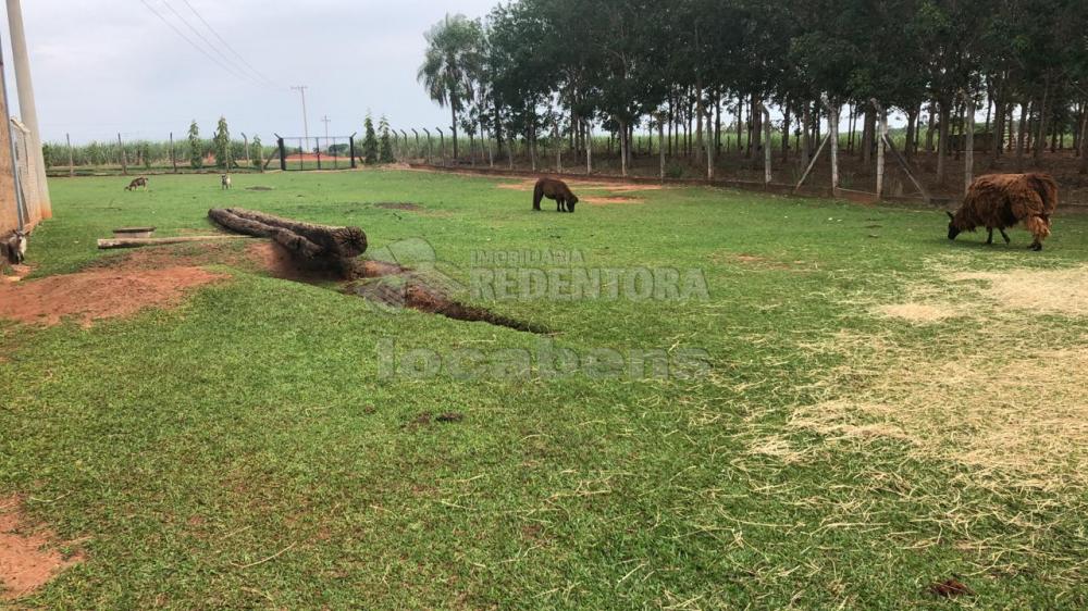 Comprar Rural / Sítio em Potirendaba apenas R$ 5.500.000,00 - Foto 7