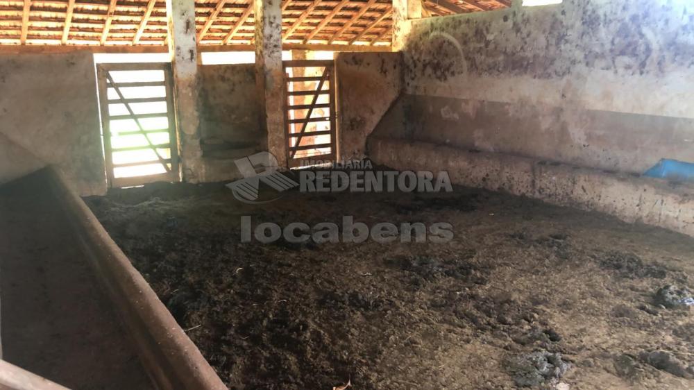 Comprar Rural / Sítio em Potirendaba apenas R$ 5.500.000,00 - Foto 11