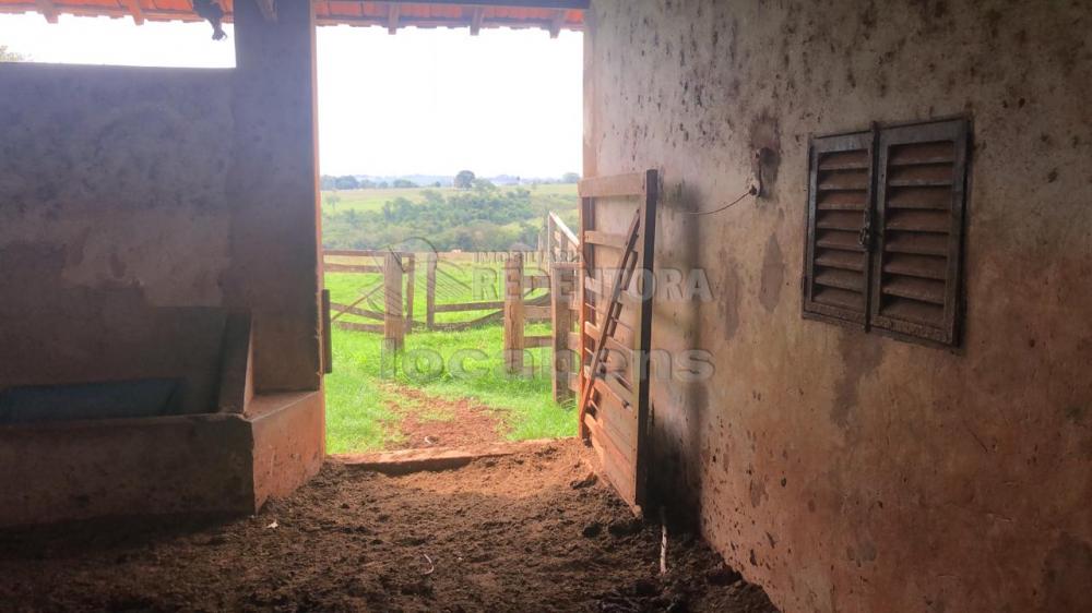 Comprar Rural / Sítio em Potirendaba apenas R$ 5.500.000,00 - Foto 10