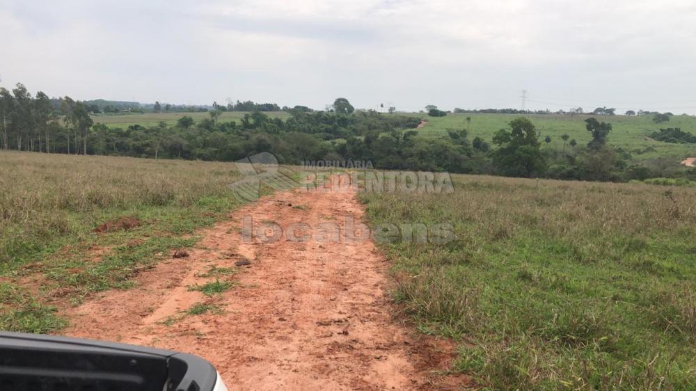 Comprar Rural / Sítio em Potirendaba R$ 5.500.000,00 - Foto 19