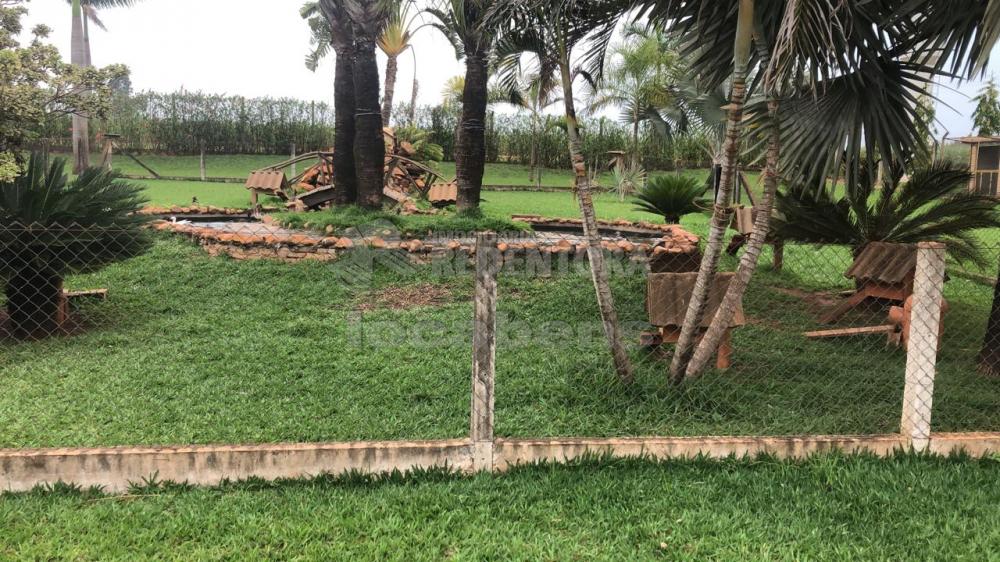 Comprar Rural / Sítio em Potirendaba R$ 5.500.000,00 - Foto 24