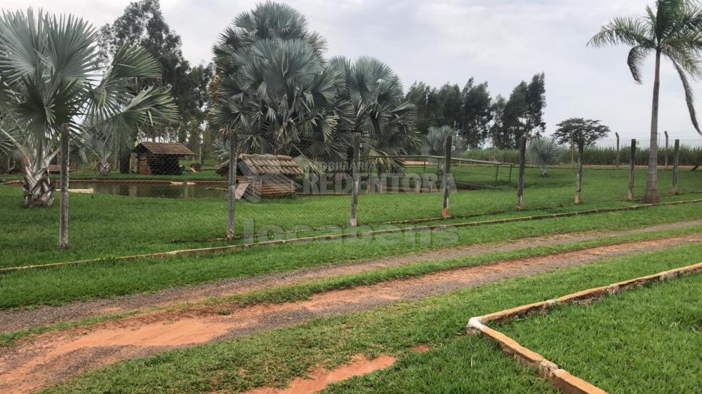 Comprar Rural / Sítio em Potirendaba apenas R$ 5.500.000,00 - Foto 25