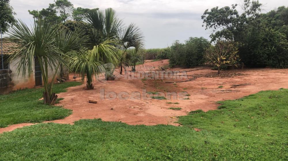 Comprar Rural / Sítio em Potirendaba R$ 5.500.000,00 - Foto 27