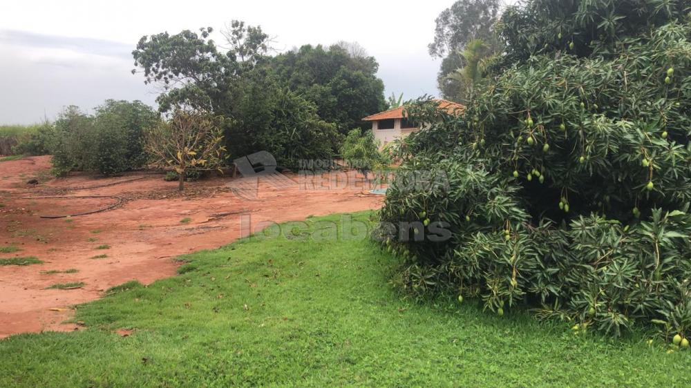 Comprar Rural / Sítio em Potirendaba apenas R$ 5.500.000,00 - Foto 28