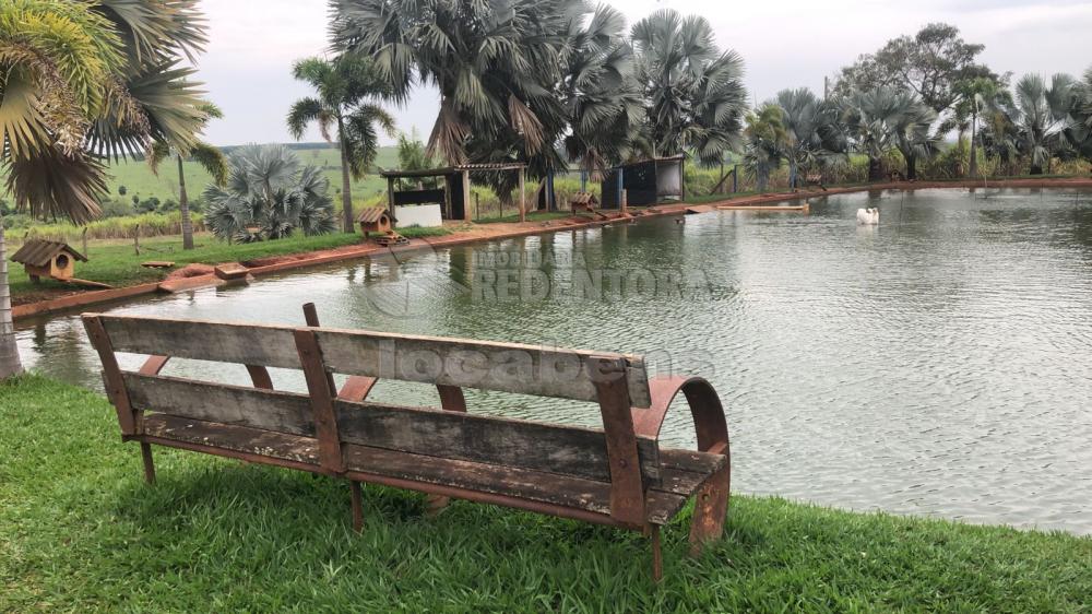 Comprar Rural / Sítio em Potirendaba R$ 5.500.000,00 - Foto 32