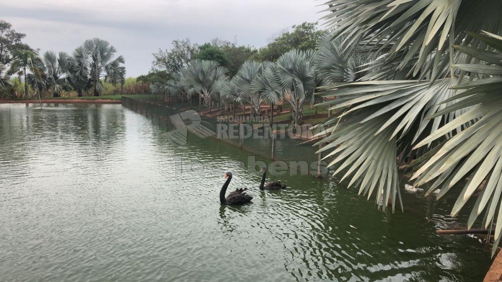 Comprar Rural / Sítio em Potirendaba apenas R$ 5.500.000,00 - Foto 33