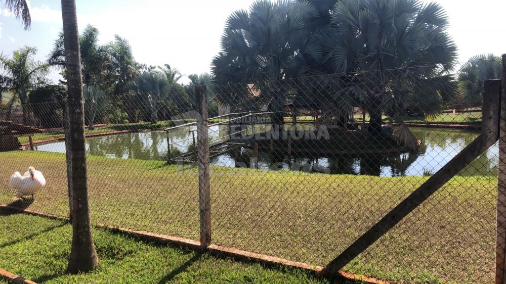 Comprar Rural / Sítio em Potirendaba R$ 5.500.000,00 - Foto 42