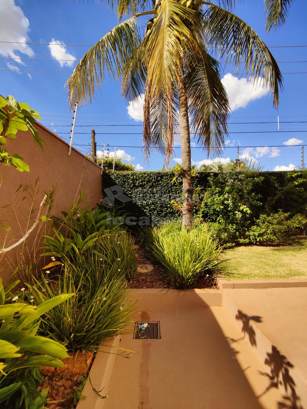 Alugar Casa / Sobrado em São José do Rio Preto R$ 6.000,00 - Foto 23