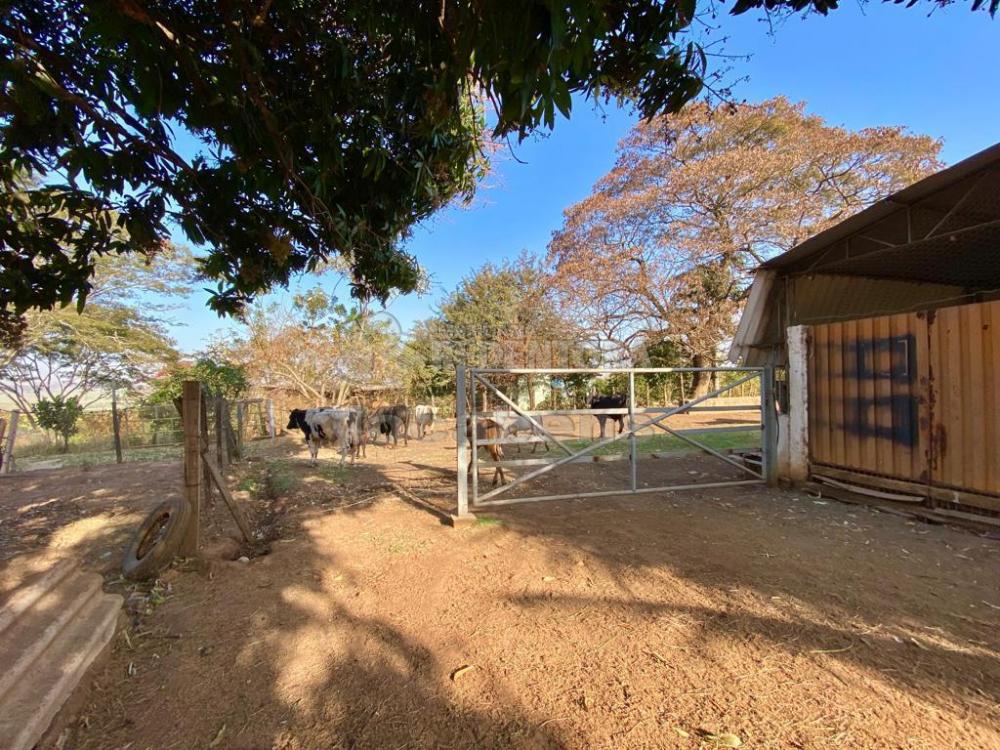 Fazenda à venda com 6 quartos, 242000m² - Foto 44