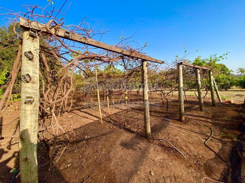 Fazenda à venda com 6 quartos, 242000m² - Foto 51