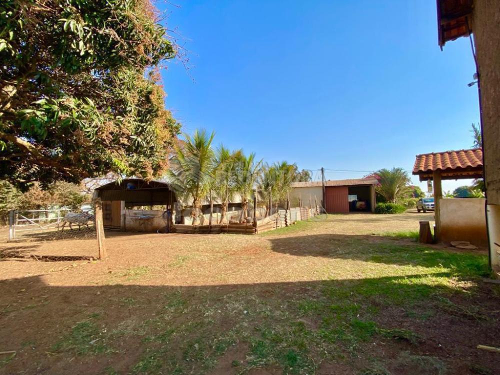 Fazenda à venda com 6 quartos, 242000m² - Foto 53