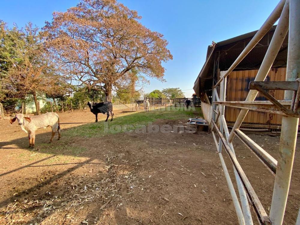 Fazenda à venda com 6 quartos, 242000m² - Foto 8