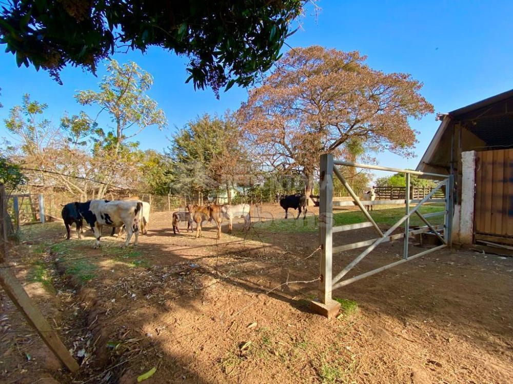 Fazenda à venda com 6 quartos, 242000m² - Foto 9