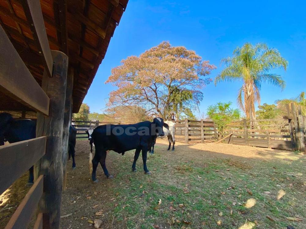 Fazenda à venda com 6 quartos, 242000m² - Foto 18