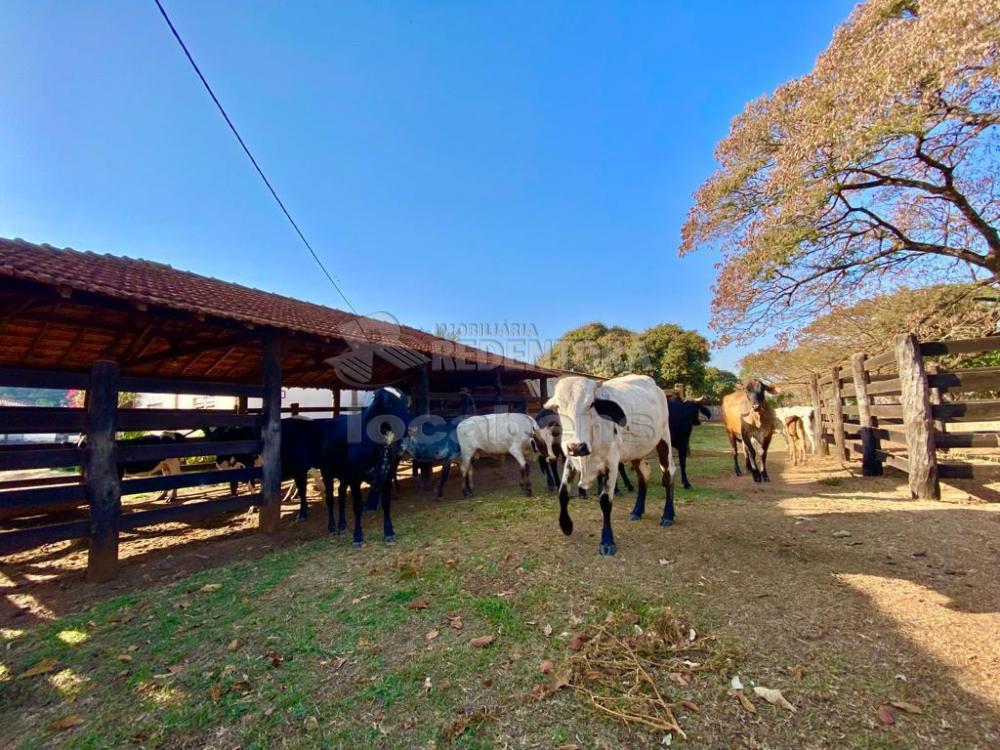 Fazenda à venda com 6 quartos, 242000m² - Foto 19