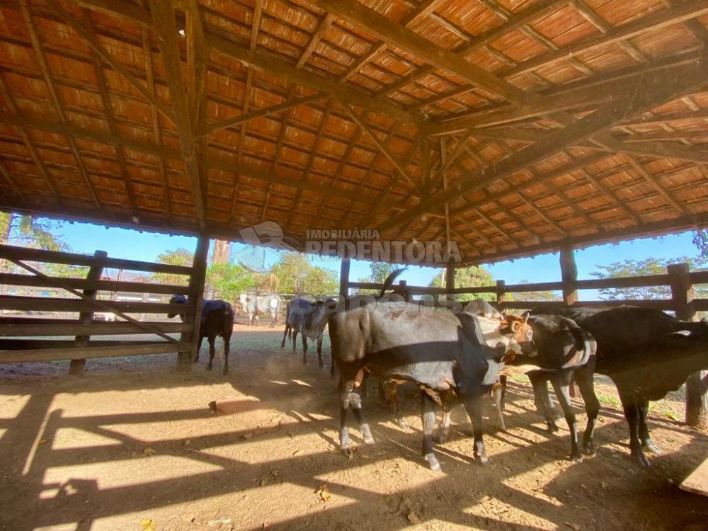 Fazenda à venda com 6 quartos, 242000m² - Foto 12