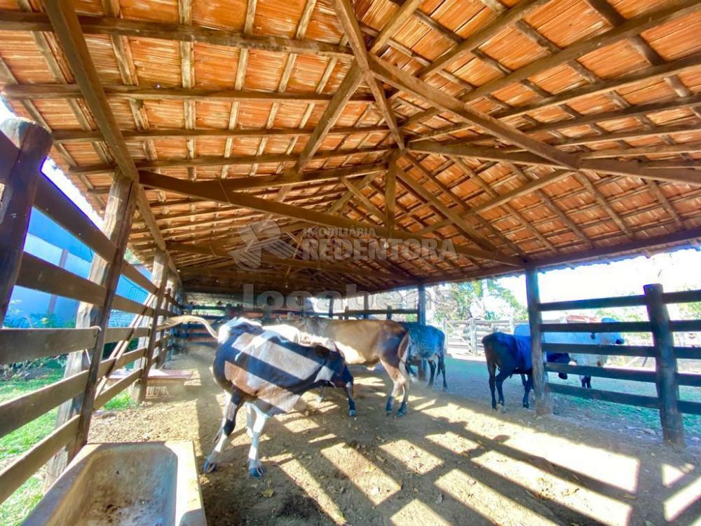 Fazenda à venda com 6 quartos, 242000m² - Foto 10