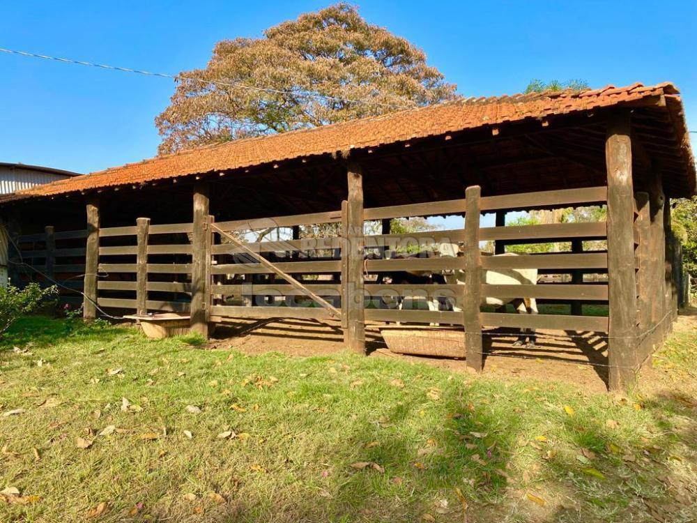 Fazenda à venda com 6 quartos, 242000m² - Foto 2