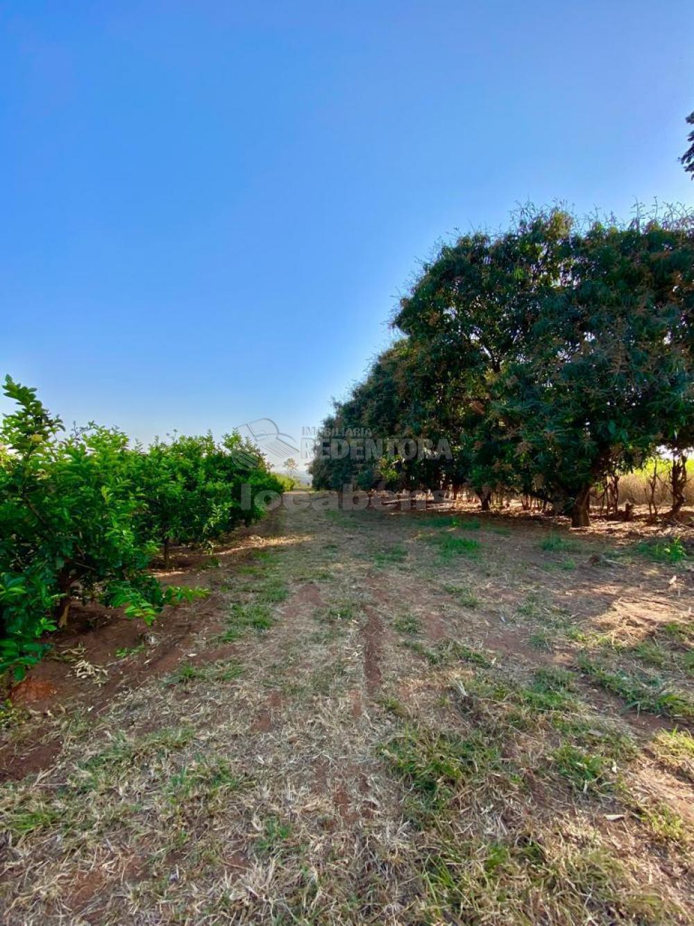 Fazenda à venda com 6 quartos, 242000m² - Foto 68