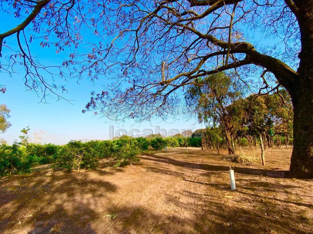 Fazenda à venda com 6 quartos, 242000m² - Foto 26