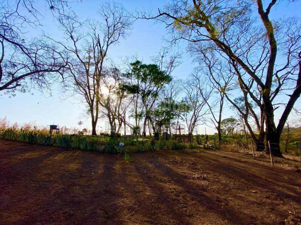 Fazenda à venda com 6 quartos, 242000m² - Foto 29