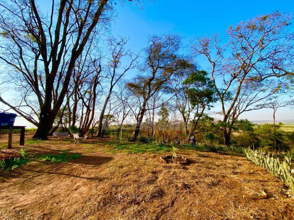 Fazenda à venda com 6 quartos, 242000m² - Foto 31