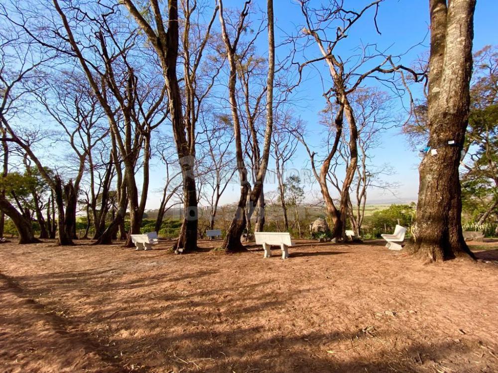 Fazenda à venda com 6 quartos, 242000m² - Foto 34