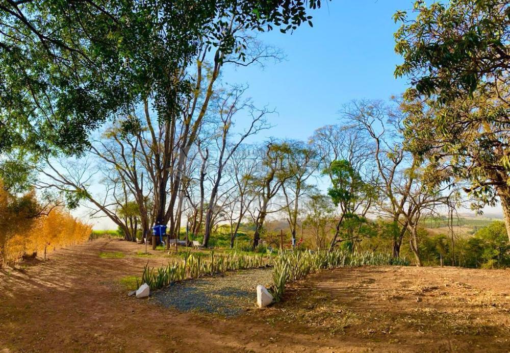 Fazenda à venda com 6 quartos, 242000m² - Foto 38