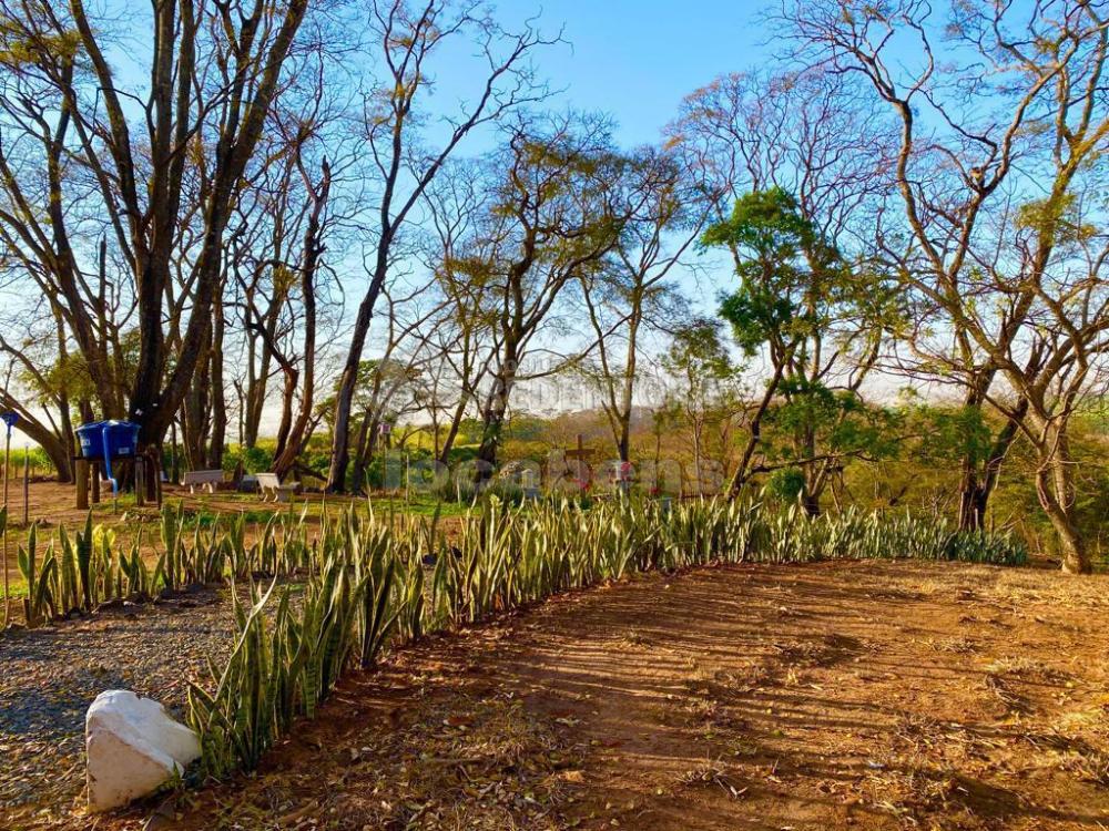 Fazenda à venda com 6 quartos, 242000m² - Foto 37