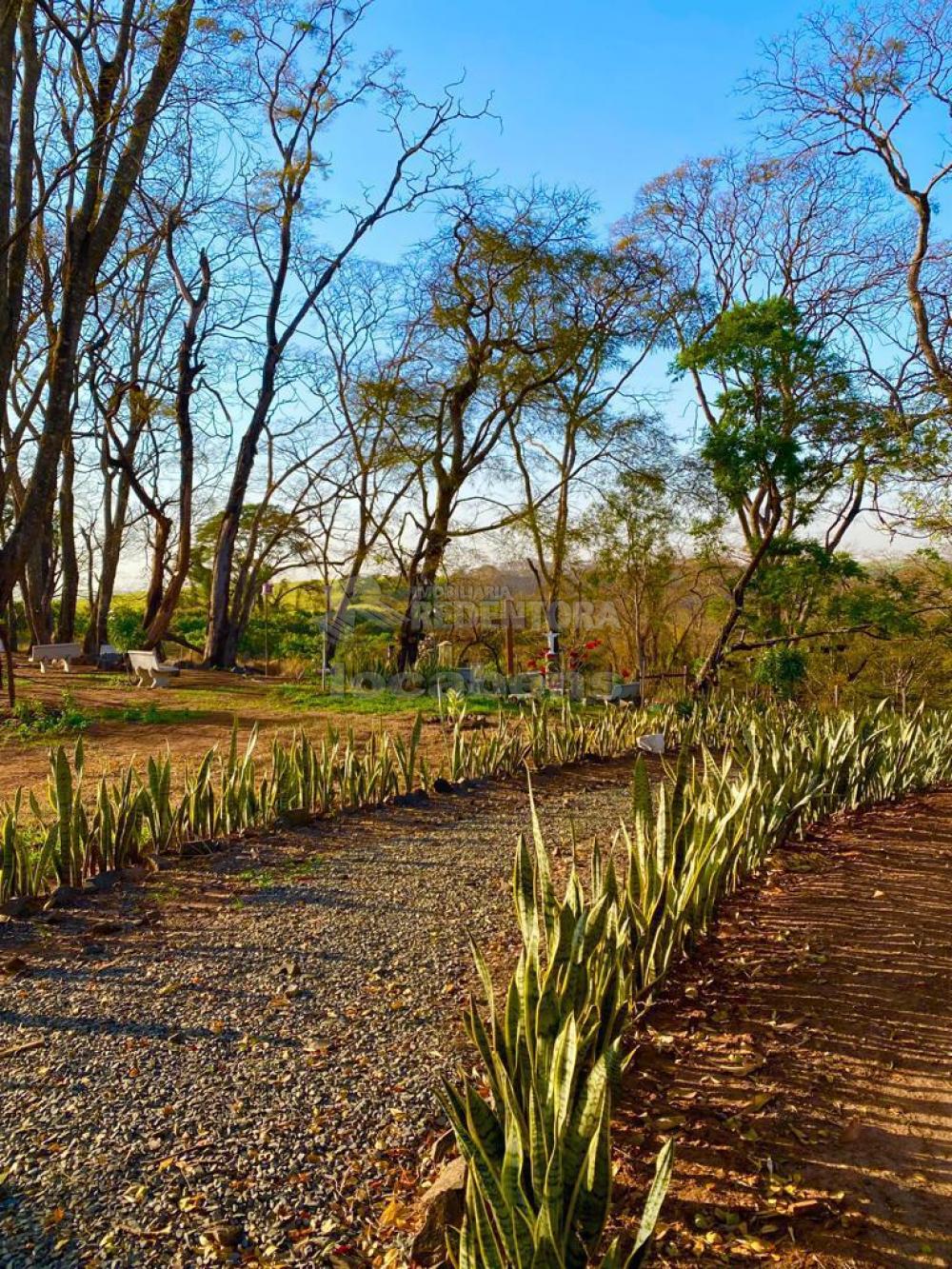 Fazenda à venda com 6 quartos, 242000m² - Foto 36