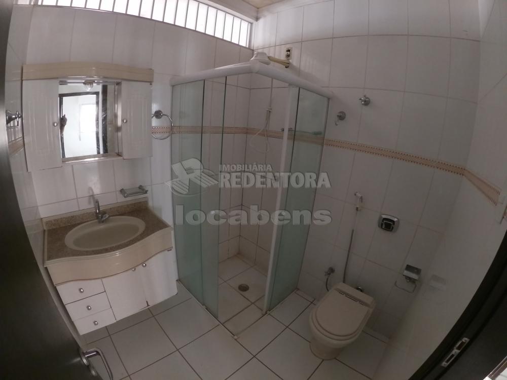 Alugar Apartamento / Padrão em São José do Rio Preto R$ 800,00 - Foto 11