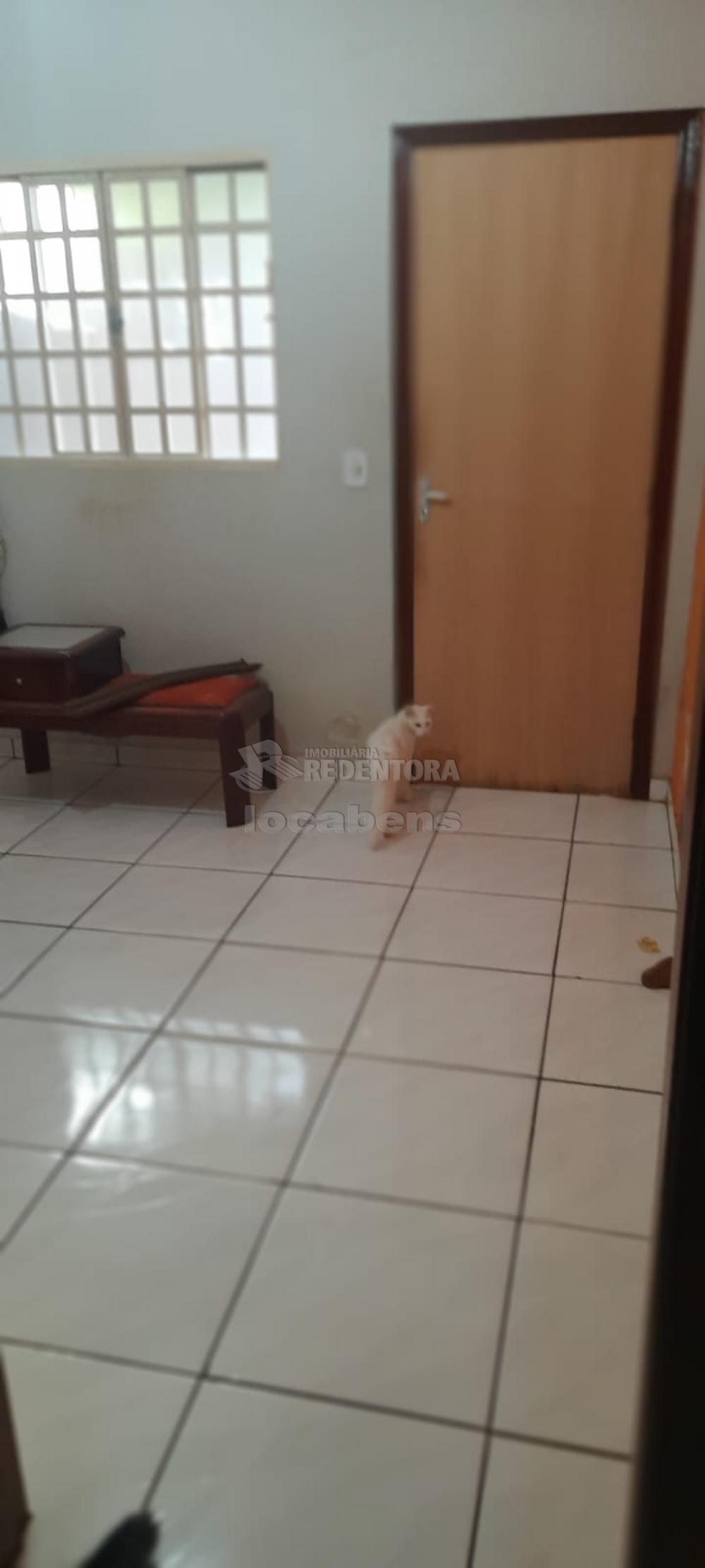 Comprar Casa / Padrão em Adolfo apenas R$ 180.000,00 - Foto 6