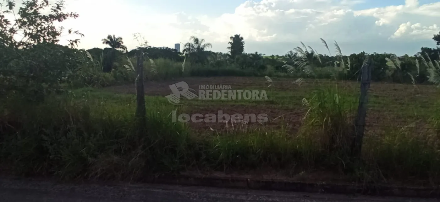 Comprar Terreno / Área em Cedral R$ 270.000,00 - Foto 2