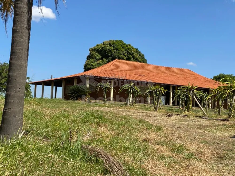 Comprar Rural / Sítio em Auriflama R$ 3.300.000,00 - Foto 1