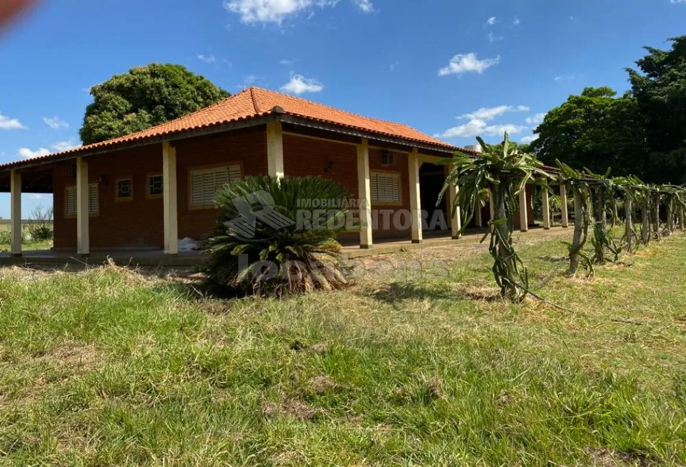 Comprar Rural / Sítio em Auriflama apenas R$ 3.300.000,00 - Foto 2