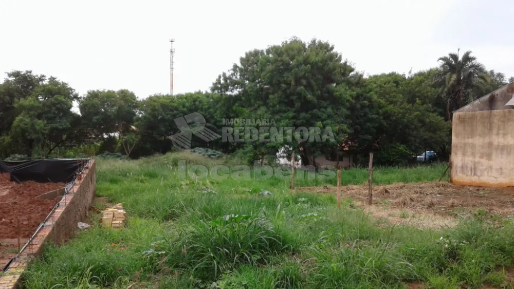 Comprar Terreno / Padrão em São José do Rio Preto R$ 100.000,00 - Foto 6