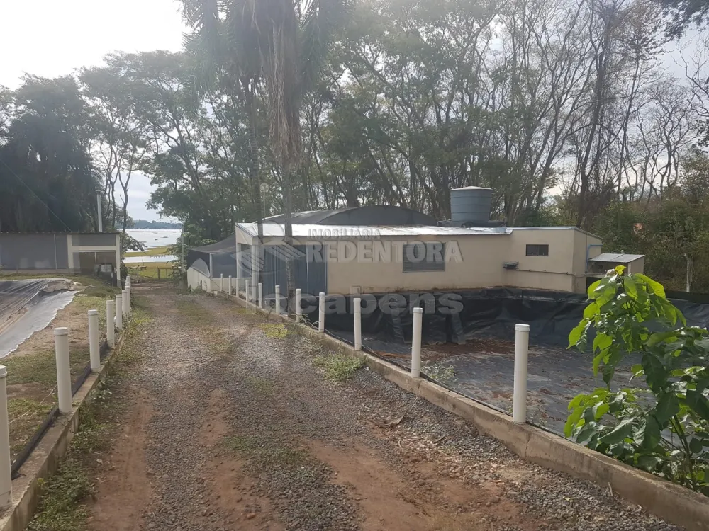 Comprar Rural / Sítio em Zacarias apenas R$ 1.000.000,00 - Foto 5