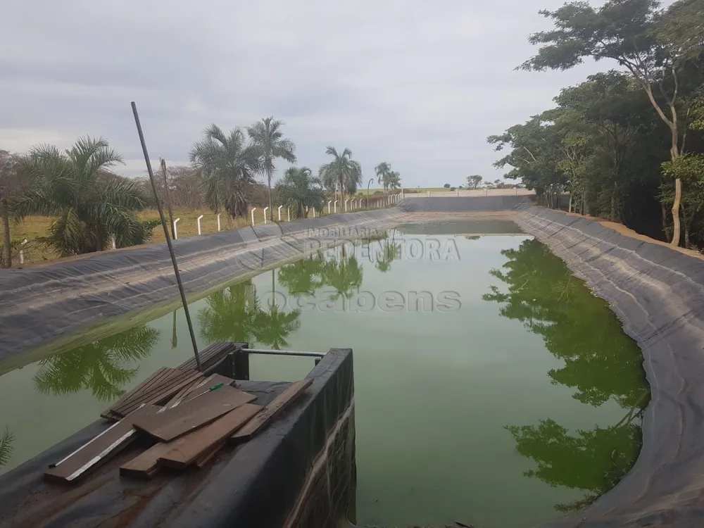 Comprar Rural / Sítio em Zacarias apenas R$ 1.000.000,00 - Foto 6